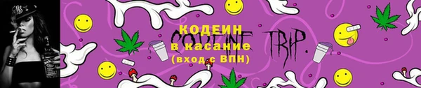 СК Аркадак