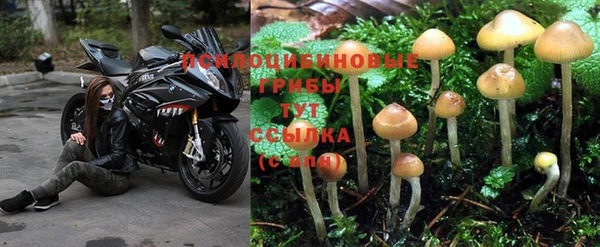 СК Аркадак